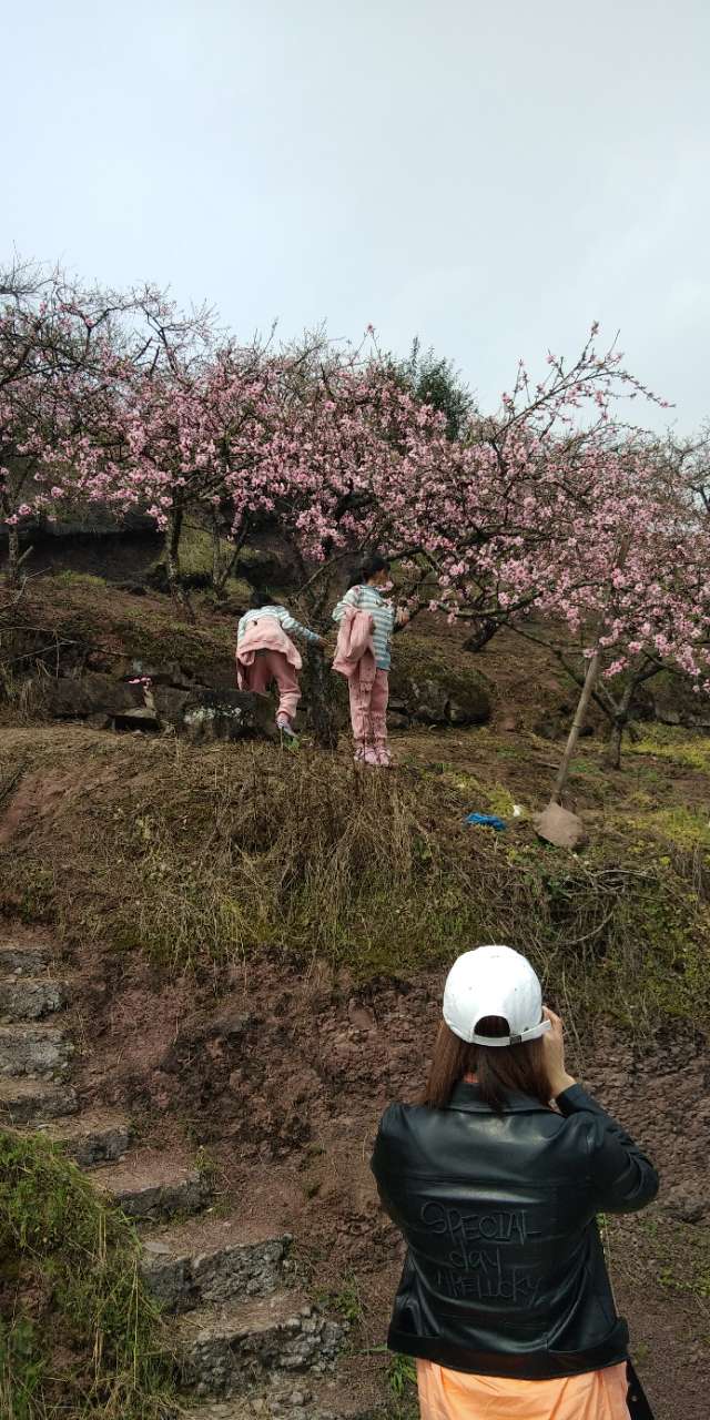 ‘泛亚电竞’我今天也去毛成看了桃花，果然名不虚传！(图19)