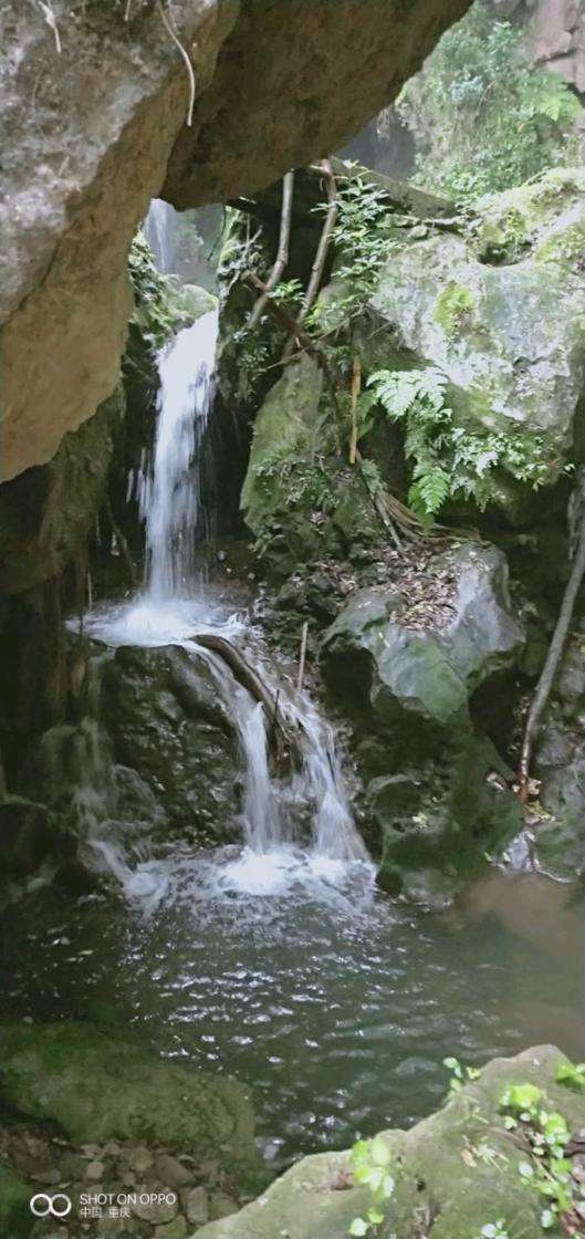 ‘澳门永利官网’开州最值得避暑的最佳景区:陈家南门龙王头山庄(图11)