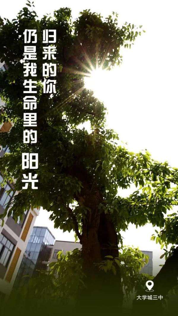 【kaiyun】重庆开学集结号吹响，校园己繁花似锦，欢迎学子“满血”归校(图14)