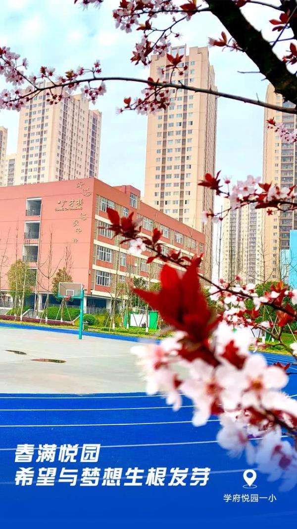 【kaiyun】重庆开学集结号吹响，校园己繁花似锦，欢迎学子“满血”归校(图16)