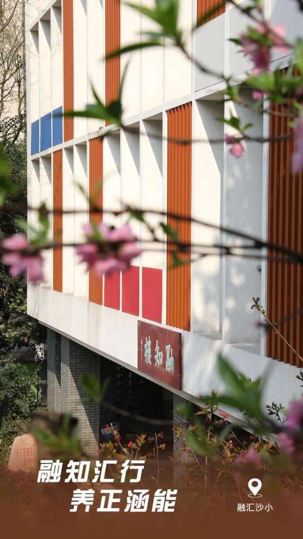 【kaiyun】重庆开学集结号吹响，校园己繁花似锦，欢迎学子“满血”归校(图19)