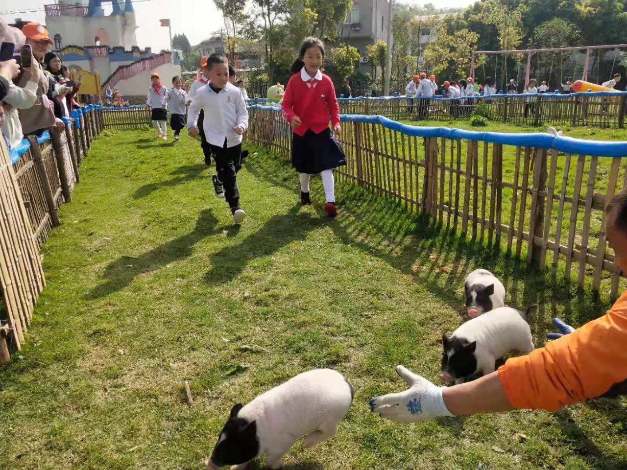 五一假期，开州文旅市场强势回升‘环球体育官网入口登录’(图3)